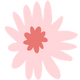 Simple pink flower with a coral orange center on a white background
